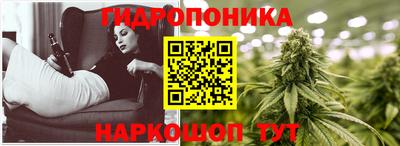 прущие крисы Тулун