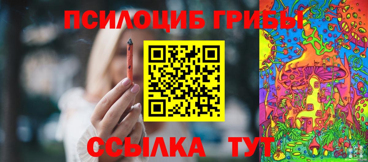 Галлюциногенные грибы мицелий Астрахань