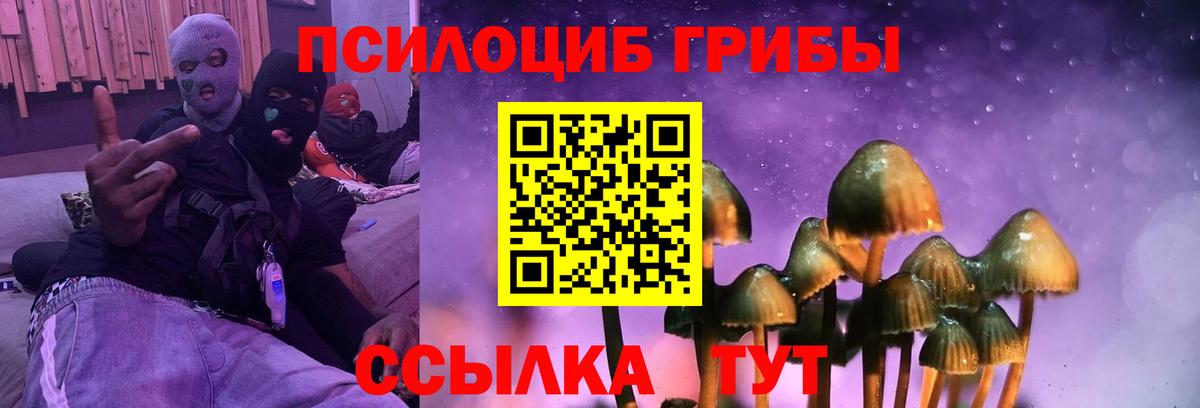 Псилоцибиновые грибы ЛСД  Вход с VPN  Астрахань 